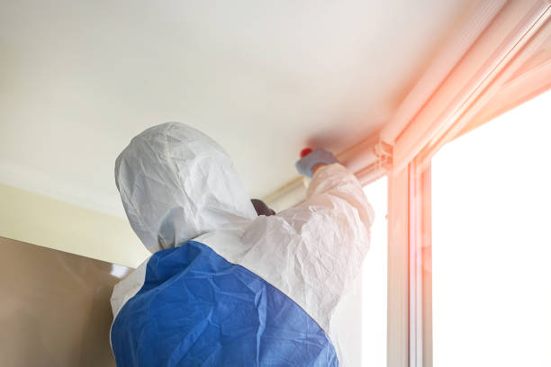 Why You Should Choose Our Mold Remediation Services in Central Square, NY